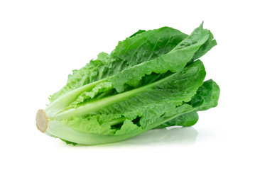 Fresh green Lettuce leaves, Salad leaf isolated on white background. with clipping path.