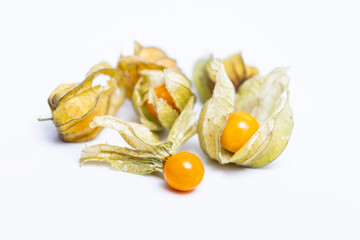 Cape Gooseberry (Physalis Peruviana) or Ground cherries, Physalis minima, Pygmy ground cherry, Inca berry, Golden strawberry, Strawberry tomato, Husk tomato isolated on white background