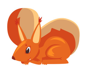 Cute Squirrel, Amusement Little Rodent Animal Cartoon Character Vector illustration