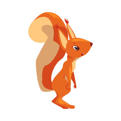 Funny Squirrel, Lovely Amusement Little Rodent Animal Cartoon Character Vector illustration