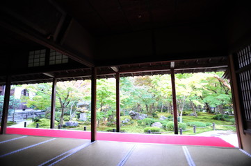 Fototapeta na wymiar Enkou-ji Temple