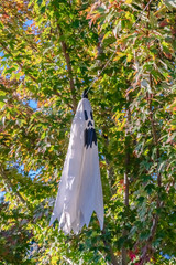 Hanging ghost halloween outdoor decoration on a sunny day