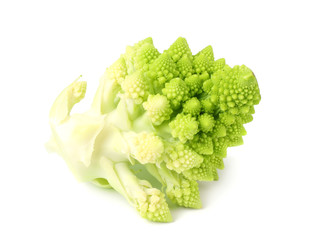 Romanesco broccoli isolated on white background. Roman cauliflower