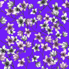 Pattern of decorative colors on a colored background