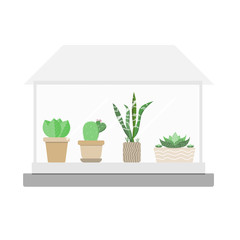 Cactus plant house on pot  Indoor microgreen, dedicated garden rooms environments. flat design vector