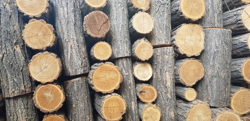 Pile of firewood thick logs