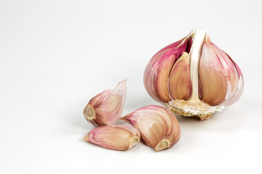 a opened semi-peeled garlic bulb and cloves isolated on white background with copy space