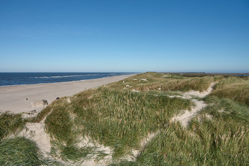 Fototapeta na wymiar Dune landscape on the Danish coast