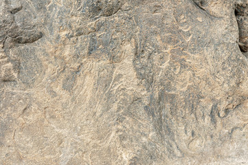 Limestone texture for background. Close-up for text. Stones for the background. Stone texture. Abstract background texture of stone.