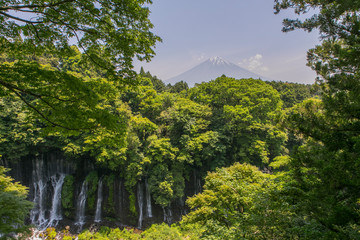 Fototapeta na wymiar Shiraito Waterfalls in Japan near Mt. Fuji 