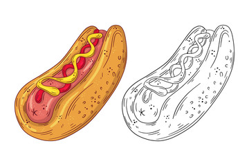 Hand drawn doodle fast food Hotdog. Vector illustration isolated on white background.