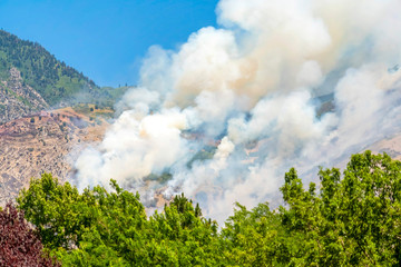 Thick smoke from mountain fire with vibrant green tree leaves on a sunny day