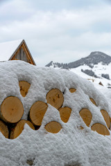 Rondins de bois couvert de neige