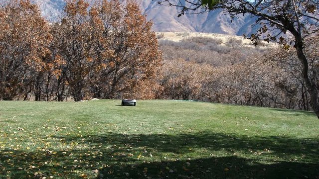 Robotic automower cutting the grass in yard driving itself around trimming.