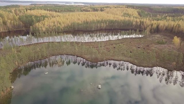 Clear cut logging area at forest between lakes with buffer zone of trees on the shore