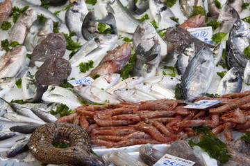 vario pesce di mare esposto al mercato del pesce