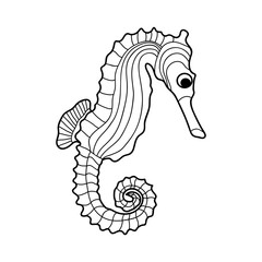 Sea horse coloring