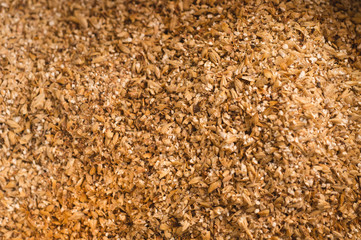 Male hands from which ground malt pours out. good attitude to craft. Craft beer brewing from grain barley pale malt in process. Ale or lager from pilsner malt