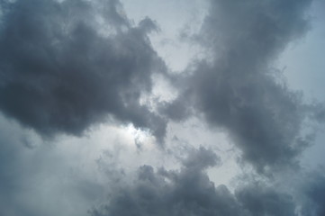 SONY DSC