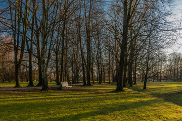 Stromovka park in Budweis city in south Bohemia in winter sunny evening