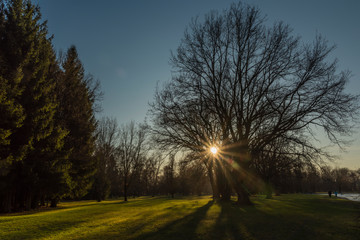 Fototapeta na wymiar Stromovka park in Budweis city in south Bohemia in winter sunny evening