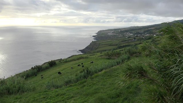 Scenic coastline of the Sao Miguel island. Azores, Portugal. 