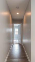 Vertical Dark hallway going to the master bedroom