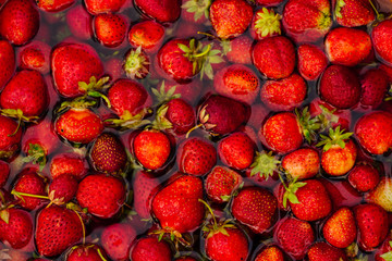 Red strawberries in the water. Rich harvest of berries. Country fruits