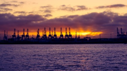 Obraz premium Dock cranes in Hamburg against the sunset