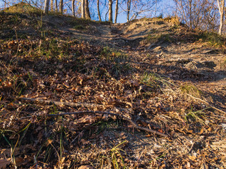  Deciduous forest with fallen foliage on an autumn sunny day with blue sky on the mountain coast of the North Caucasus.