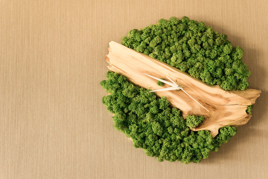 wall clock made of natural materials wood and moss white arrows and place for your text