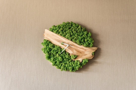 wall clock made of natural materials wood and moss white arrows and place for your text - Powered by Adobe