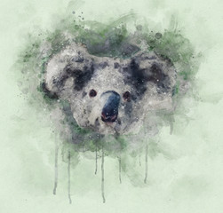 Watercolor illusration of Koala, Portrait