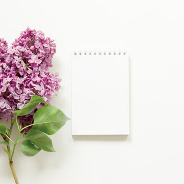 Lilac flowers and notebook on white background. Spring flowers. Top view, flat lay, copy space. - Image