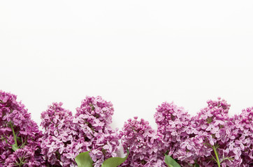 Lilac flowers on white background. Spring flowers. Top view, flat lay, copy space. - Image