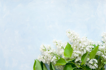 Lilac flowers on blue background. Spring flowers. Top view, flat lay, copy space. - Image