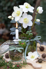 Winter-Gartendekoration mit Kerze und Helleborus niger