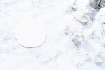 Fondant snowflake shapes