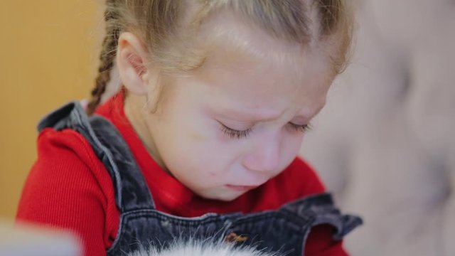Offended sobbing preschool child with bad mood wipes snot and tears, tantrum, child integrity