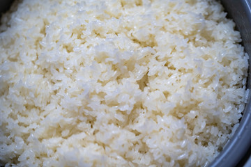 Cooked rice in a bowl.