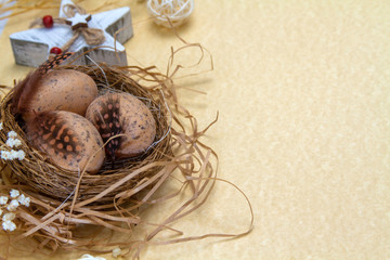 Easter eggs in a nest with a feather of a bird. Zero waste concept.