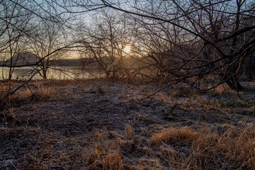 Fototapeta na wymiar 冬の朝の湖畔の森