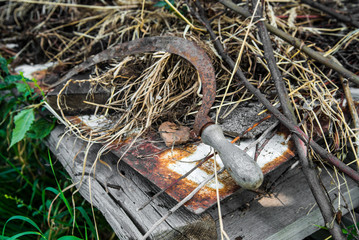 Peasant sickle for mowing grass lies on rusty iron, old grass and wooden pieces