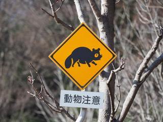 動物注意