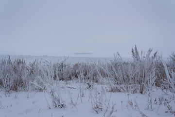Dry grass in snow and frost on the banks of a large snow-covered river with an island far away in winter twilight in Russia