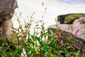  Nature platinum vacation fishing waters