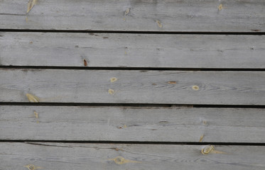 Obraz premium wood texture background