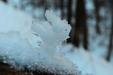winter time and snow space