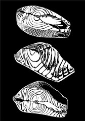 Graphical set of salmon slices isolated on black background,vector engraved illustration, red fish