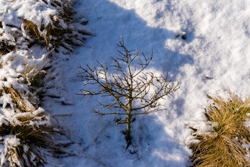 Dolina Górnej Narwi, Zima na Podlasiu, Szlak Konopielki